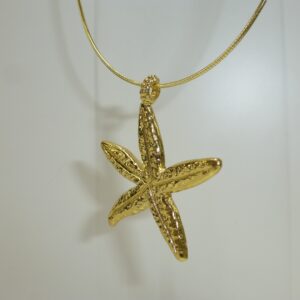 Collar Plata Estrella de Mar